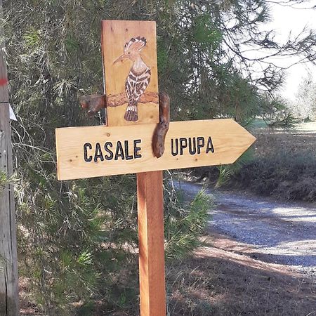 Casale L'Upupa Villa Orvieto Kültér fotó