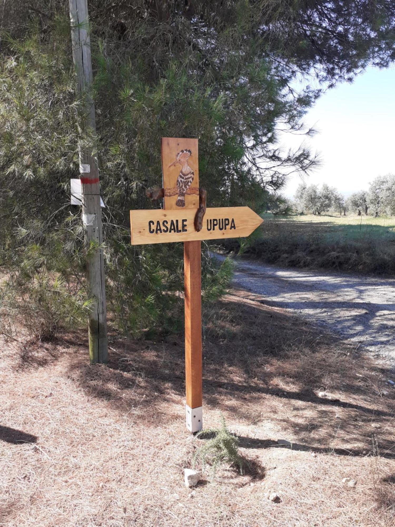 Casale L'Upupa Villa Orvieto Kültér fotó